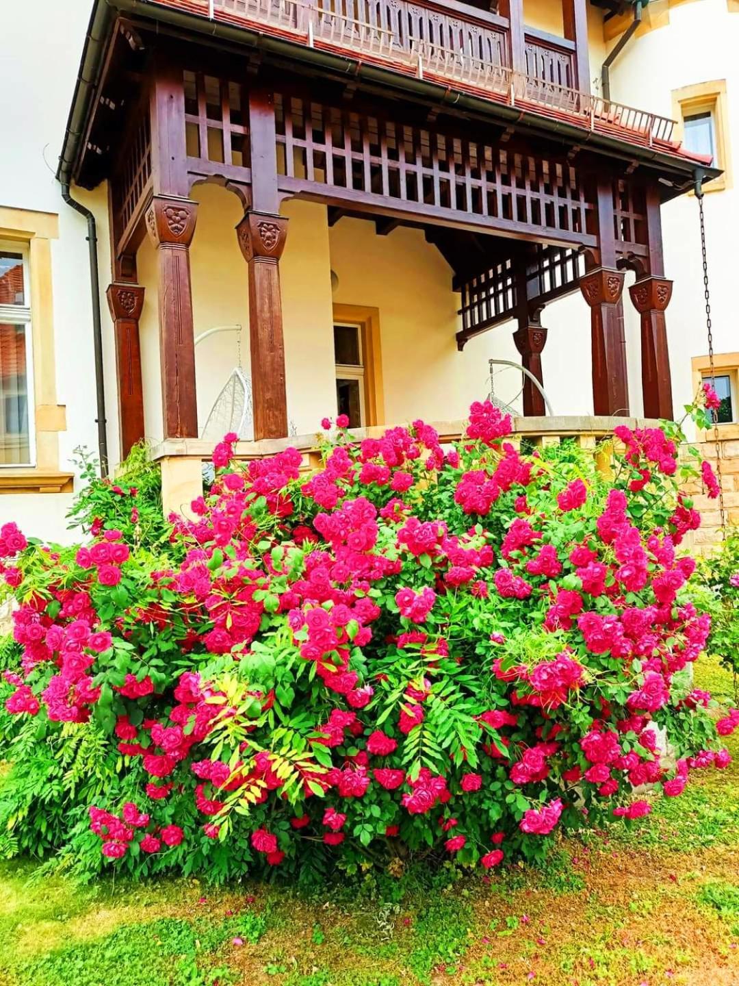 Hotel Palacyk Legnica Exterior photo